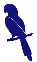 wise_twin_logo